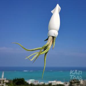 Squid Air Plant Holder (FDM & SLA)
