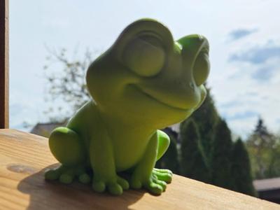 Cute frog