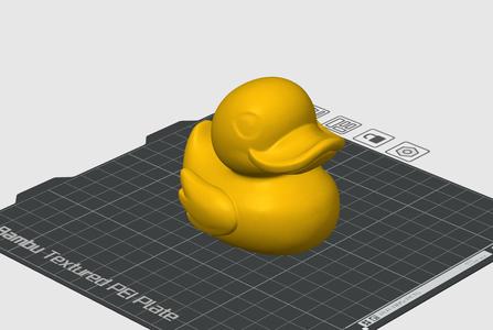 Rubber duck