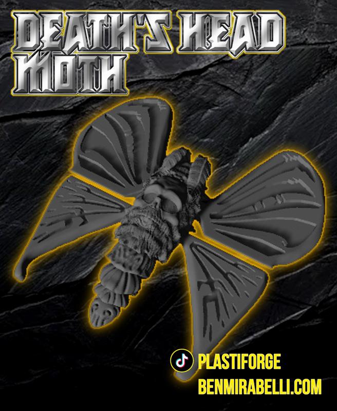 Articulated Death's Head Moth