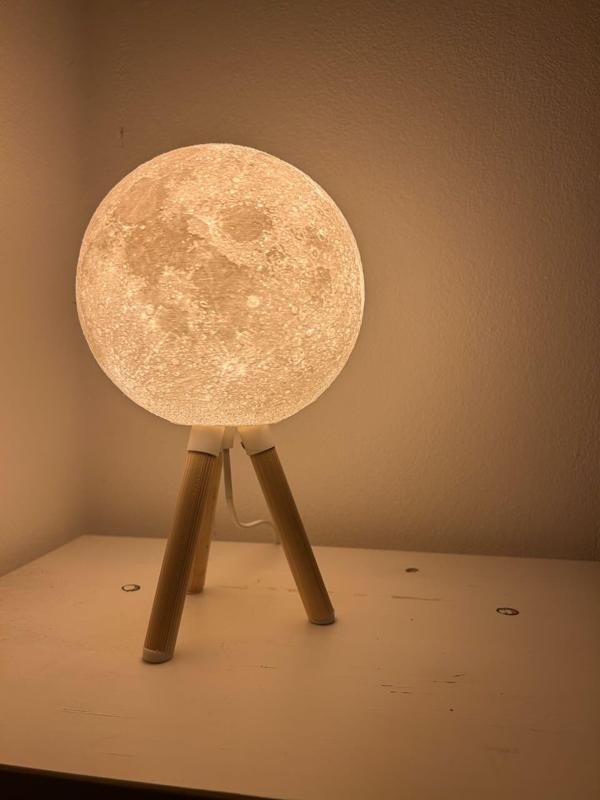 Wood Moon Lamp