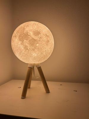 Wood Moon Lamp