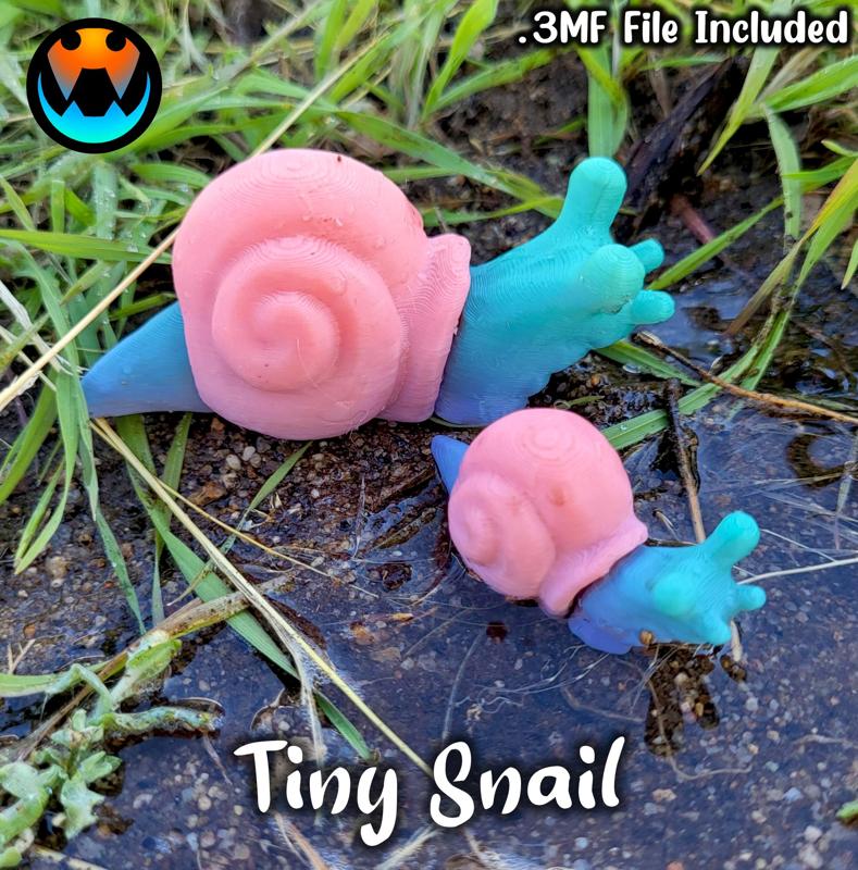 Tiny Snail
