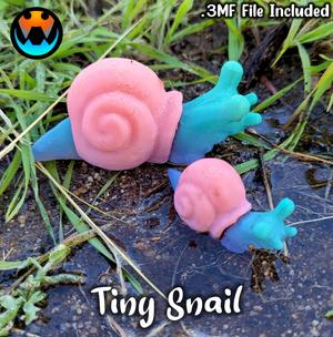 Tiny Snail