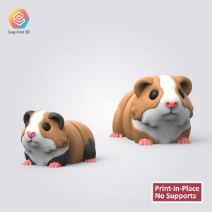 Flexi Guinea Pig