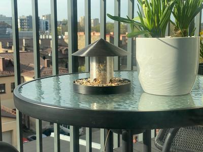 Bird feeder