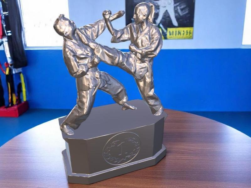Karate Trophy Tournament Award Medal