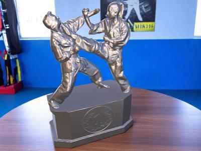 Karate Trophy Tournament Award Medal