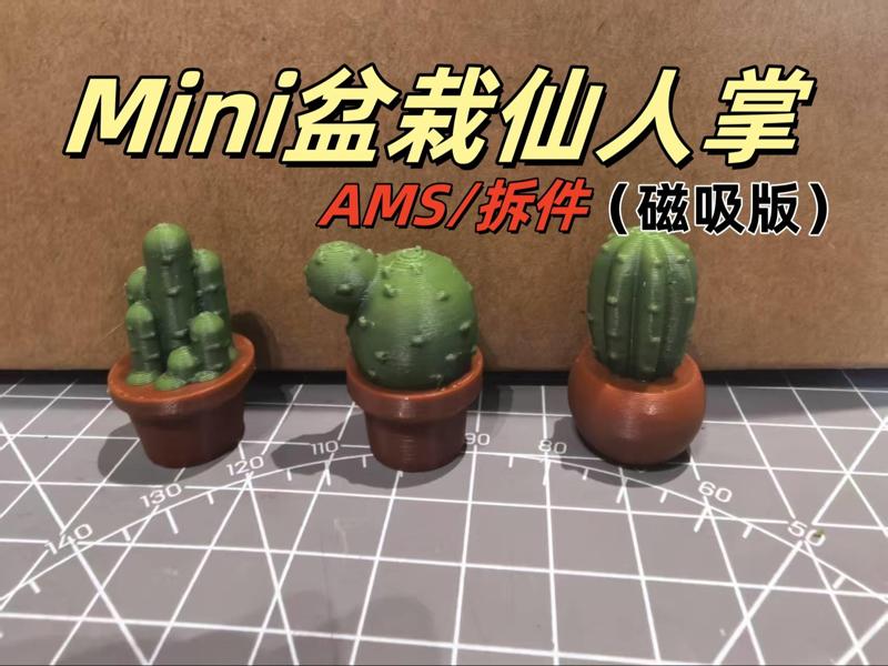 Mini Cactus (Magnetic Version)