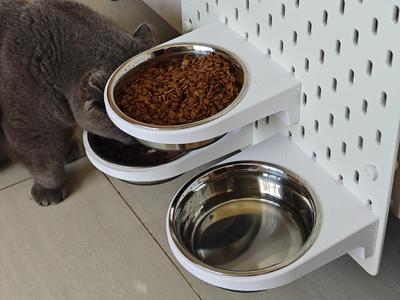 IKEA SKÅDIS Cat Food Bowl Holder