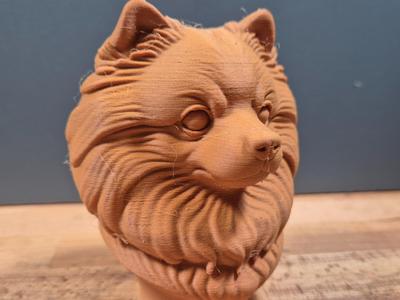 Pomeranian Dog Bust