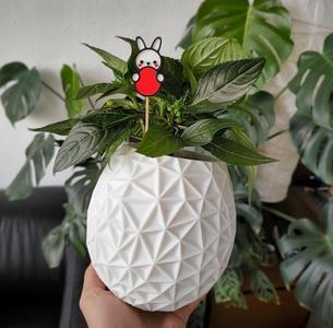 Geometric Planter