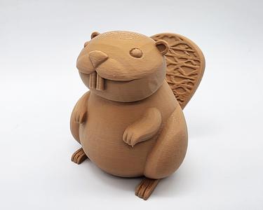 Cute Beaver