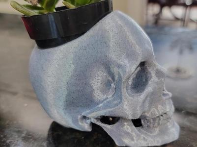 Skull Planters