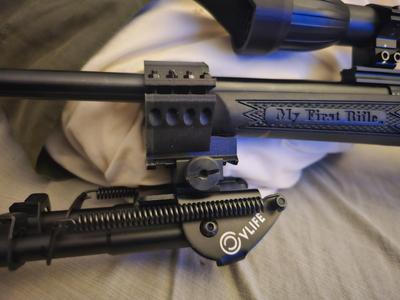 Keystone State Arms Crickett 22lr bipod pic-rail