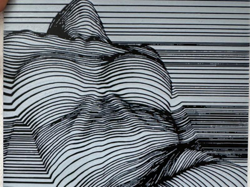 woman's line art picture