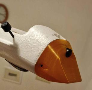 ATOMRC Dolphin short nose with 19mm camera