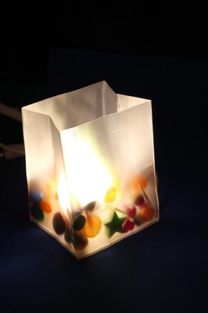 Sweetie / candy bag lamp (G9 LED bulb)