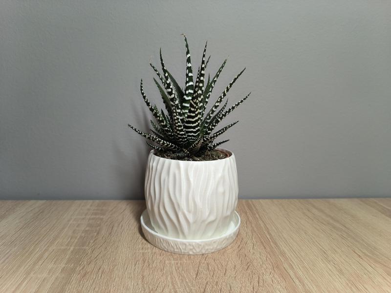 Modern Planter