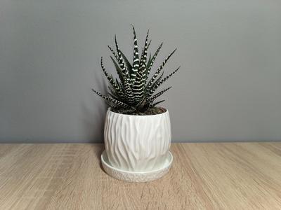 Modern Planter
