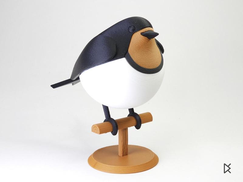 Swallow - Fluffy Birds