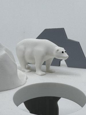 Polar Bear