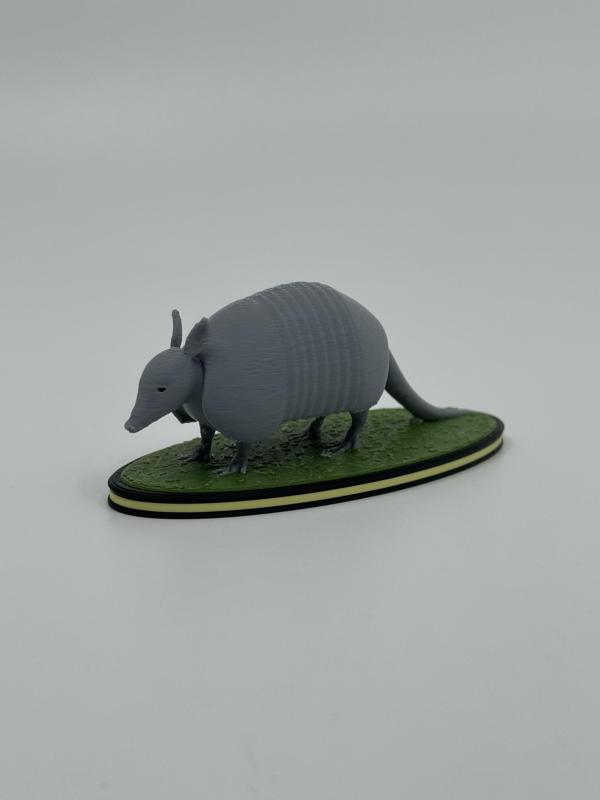 Armadillo