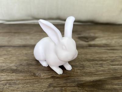 Little Brown Bunny