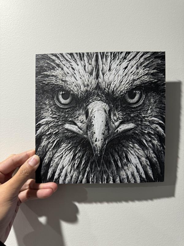 Owl's Watching You - HueForge Print