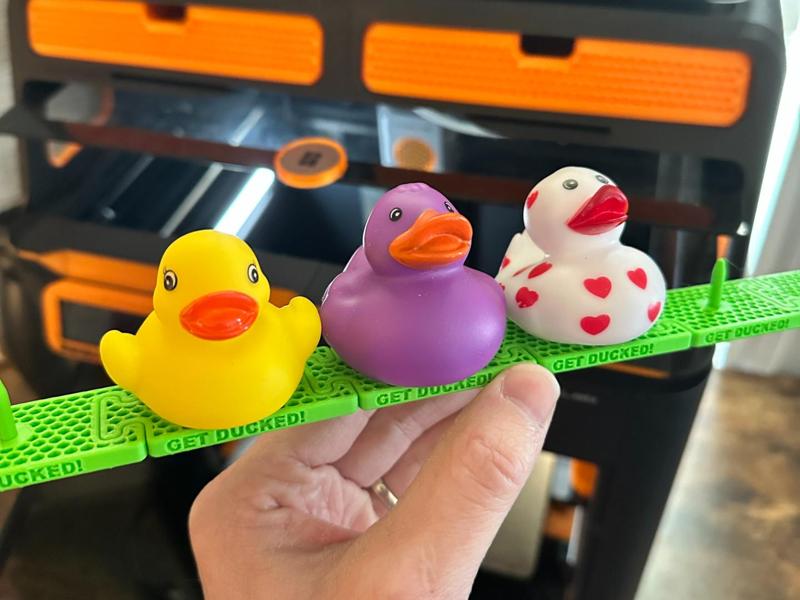 Dashboard Duck Display