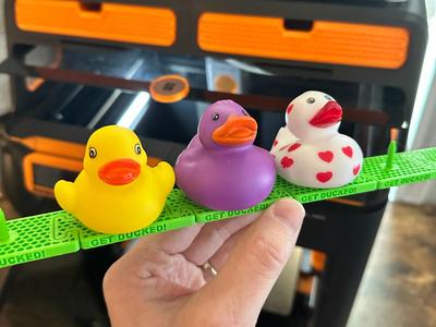 Dashboard Duck Display