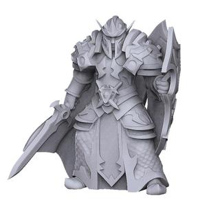 Elf paladin