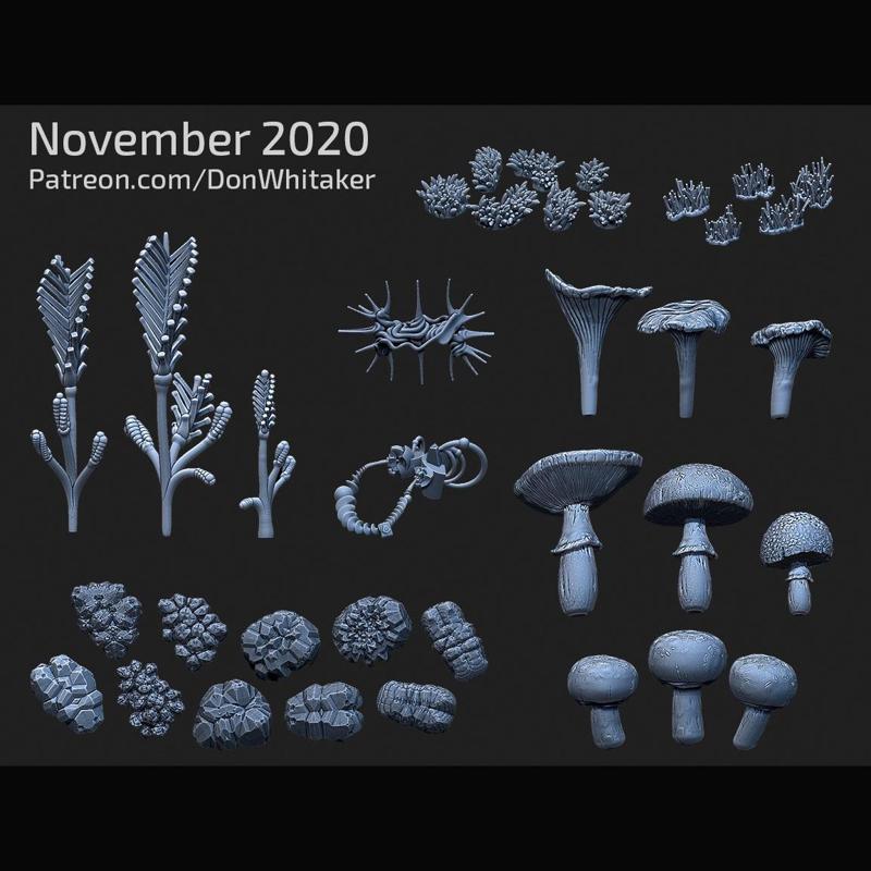 Mini Mushrooms, Mosses, and Rocks