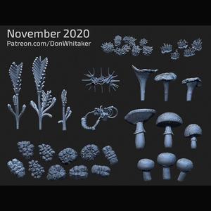 Mini Mushrooms, Mosses, and Rocks