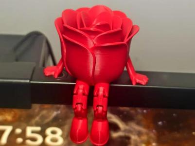 Adorable Valentine's Day, Women's Day, and 520 Rose Ornament
