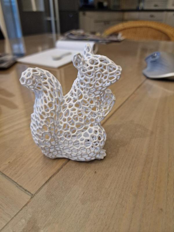 Voronoi Squirrel