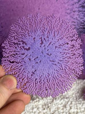 Radial Mycelium - Small