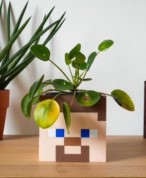 Minecraft Steve – Flower Pot / Vase 