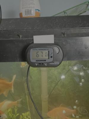 FishTank Thermometer Mount - KeyHole Mounting Slot