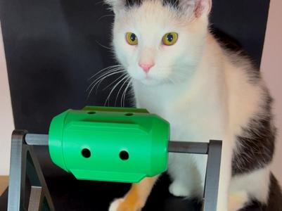 Cat and Dog toy