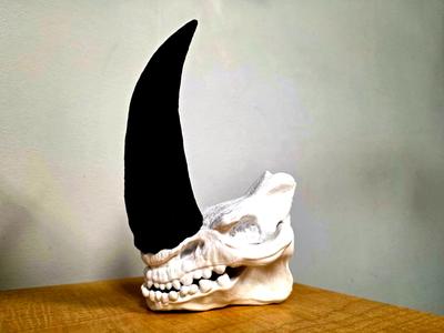 Mudhorn Skull Mandalorian