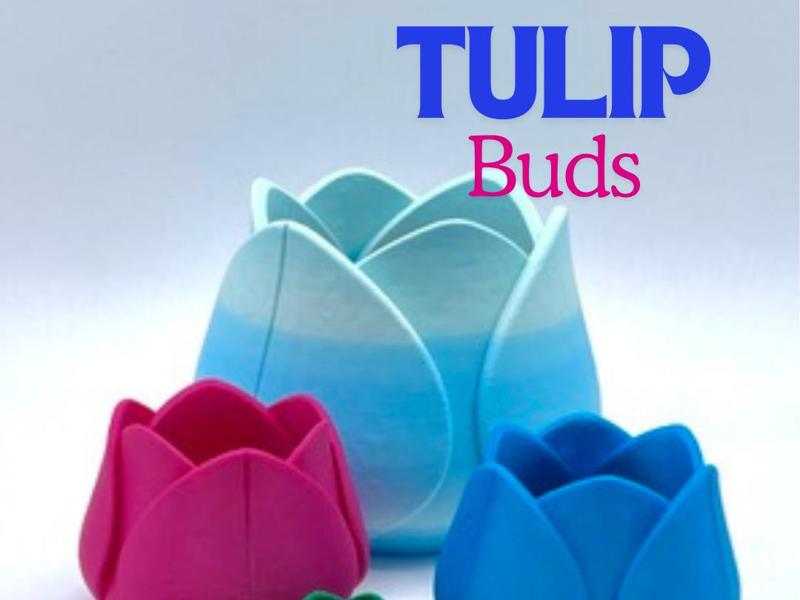 Tulip Buds Container