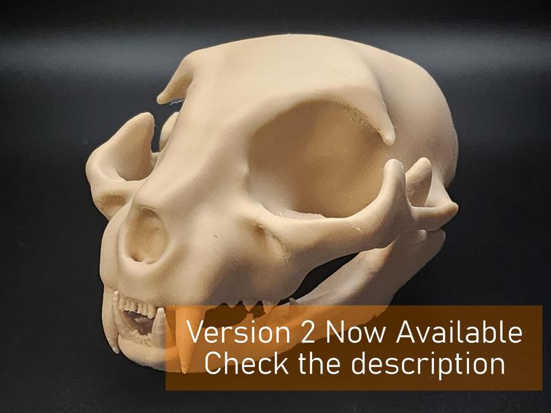 Cat Skull - Easy(ish) Print
