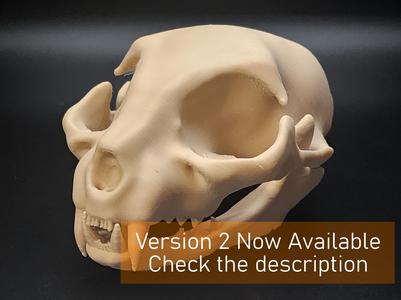 Cat Skull - Easy(ish) Print