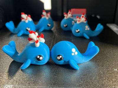 Whales in love