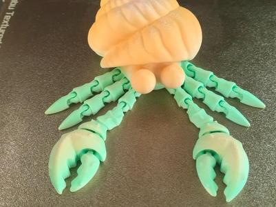 Adorable Articulated Hermit Crab Print in Place