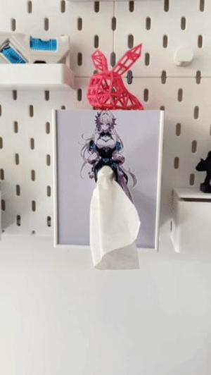 Dress-changing tissue box - compatible with IKEA