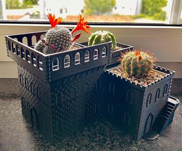 City for cacti or succulents planter