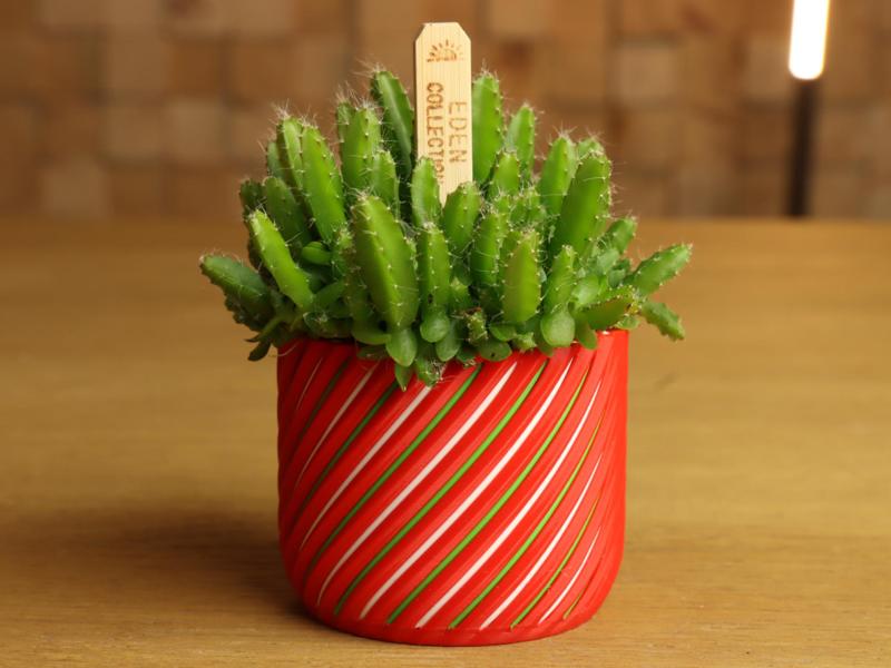 Easy To Print Multi Color Vase