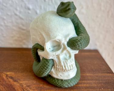 Snake Skull